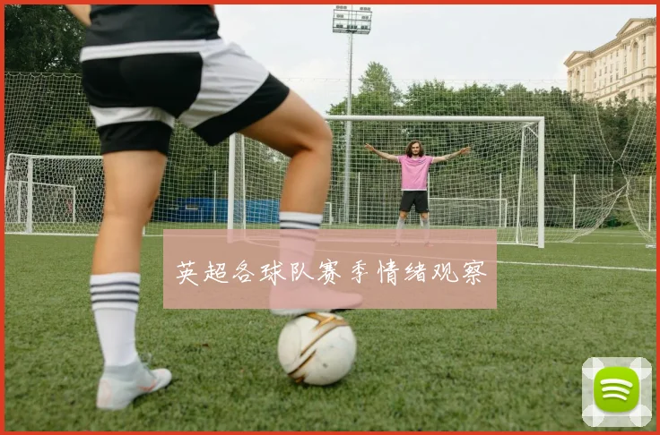 英超各球队赛季情绪观察