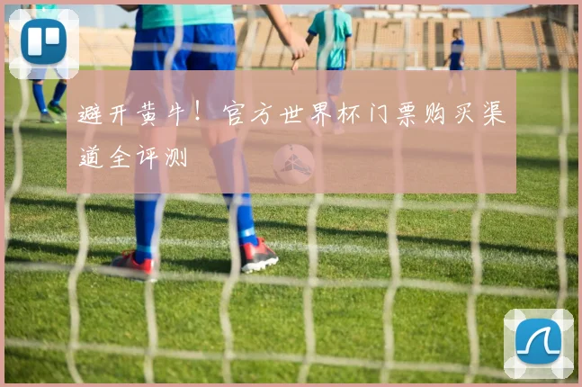 避开黄牛！官方世界杯门票购买渠道全评测